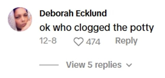 Nearly 1,700 people flooded the comments to express their horror or shed light on the nightmare scenario at cruising altitude