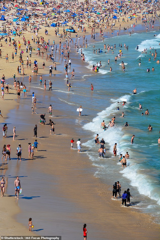 Researchers said 'the risk of further spread along the NSW coast is significant' (pictured, Bondi)