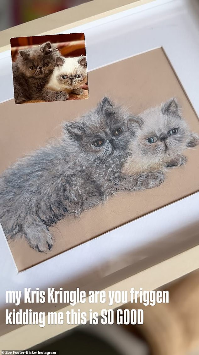 Zoe received a thoughtful drawing of her two beloved cats Potato and Jimothy as she shared on her Instagram Stories that the gift was 'so good'