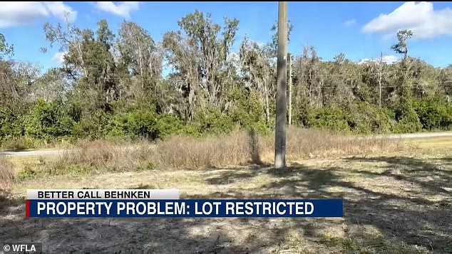 When they bought the property there was only a small wooden utility pole that they thought would be at the back of their house