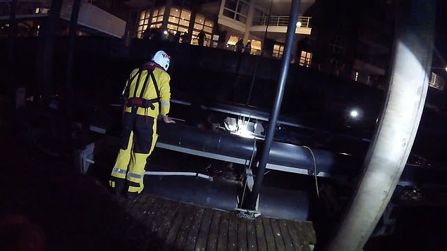 A member of the public raised the alarm when they saw a 'panicked' Jordan struggling near Hammersmith Bridge