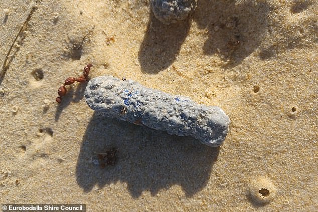 The mysterious objects (pictured) were found on six beaches near Dalmeny and Narooma on the NSW south coast