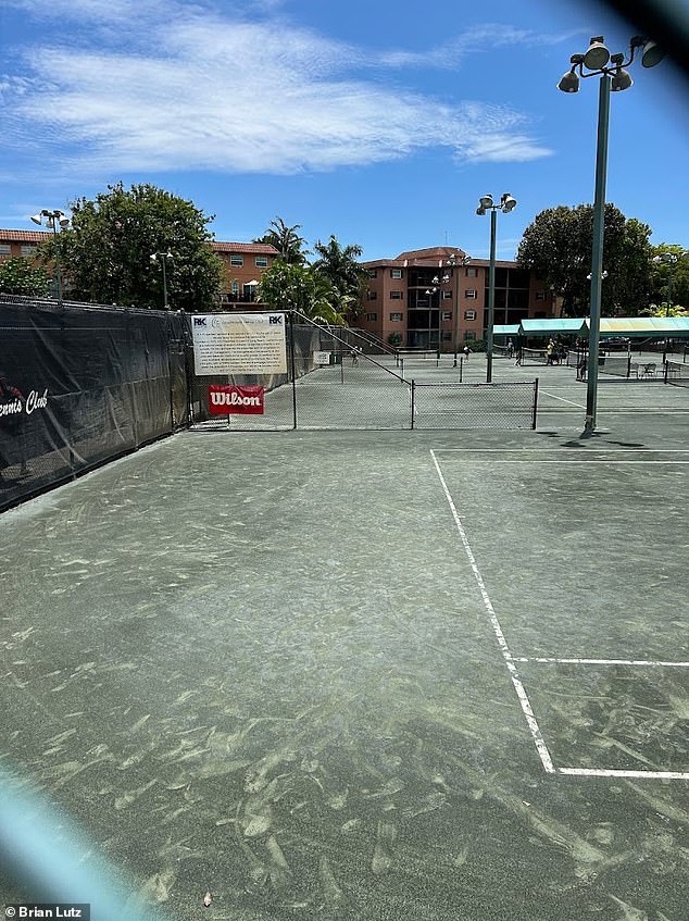 A federal complaint filed in September alleges that the South Florida-based tennis coach engaged in sexual conversations with the 15-year-old athlete via Snapchat, a popular social media application. Pictured: the Lauderdale Tennis Club in Fort Lauderdale