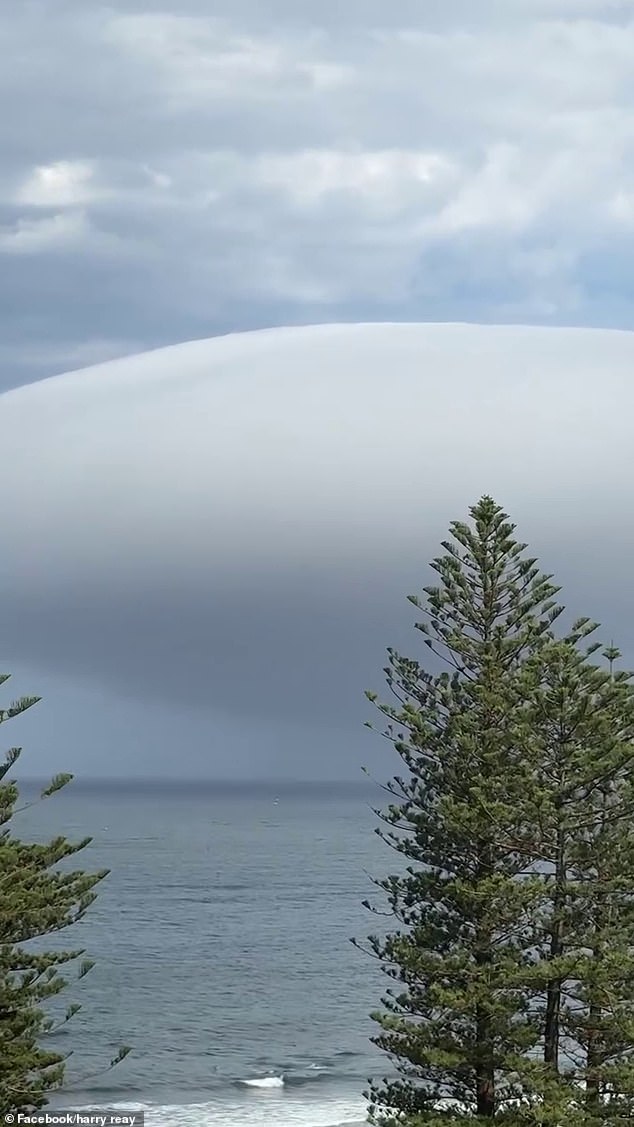 Weather Zone meteorologist Felix Levesque said Sydneysiders had nothing to worry about (pictured is the strange cloud that appeared over the ocean in Cronulla)