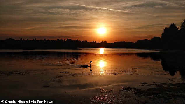 “Of course there are long-necked creatures on Loch Ness – we call them swans,” Mr Shine said.