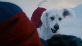 Krypto the Superdog stands over Clark Kent in the 2025 Superman movie