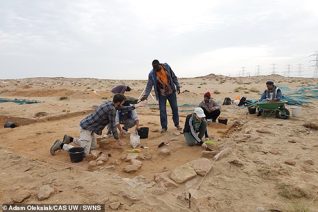 Researchers discovered the unusual shape while digging at a site in Kuwait called Bahra 1