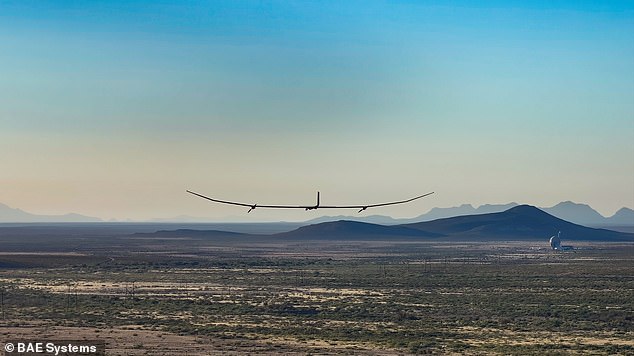 PHASA-35 builds up speed on a runway like more conventional aircraft, but releases wheels shortly after takeoff and glides to a landing on its belly