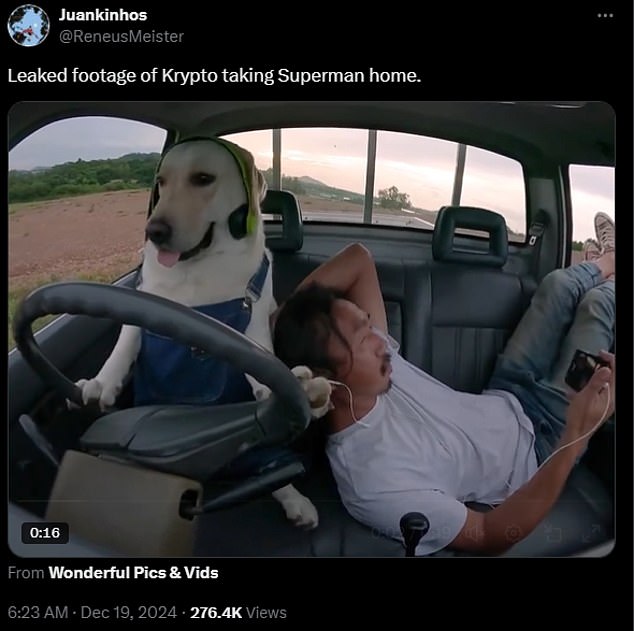 Many X users also responded to the trailer with videos of this man in a car with his dog behind the wheel