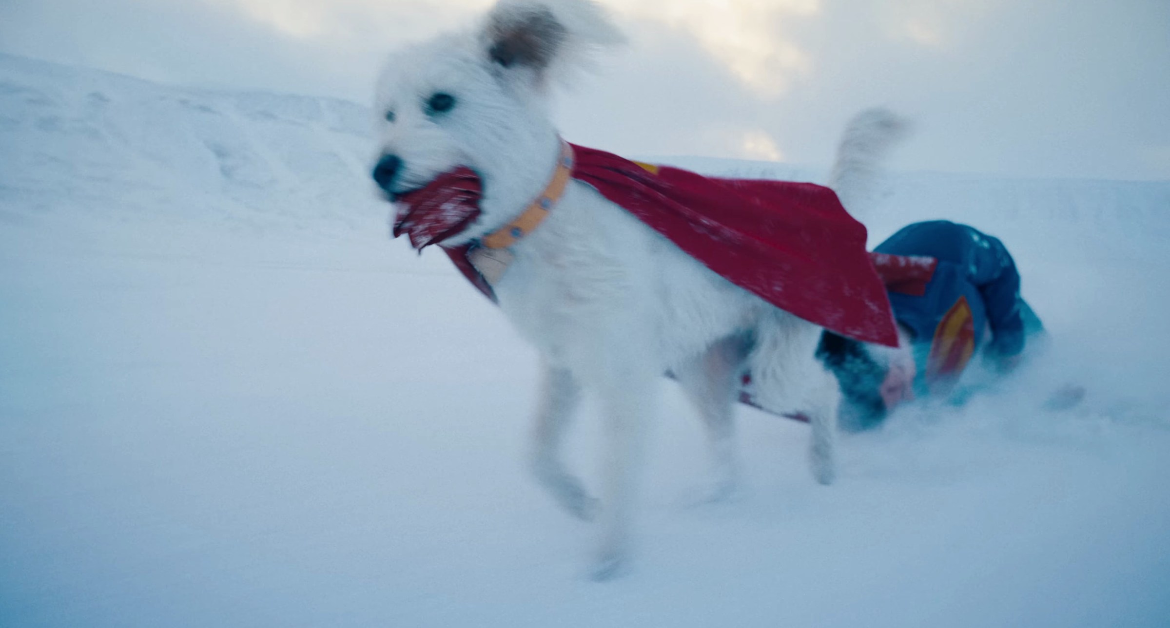 Krypto drags Superman across the Arctic in the 2025 film