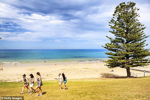 Norman expected to arrive in Melbourne in the coming days, where he will move into a waterfront mansion in Torquay, a seaside resort known for its pristine beaches (pictured)