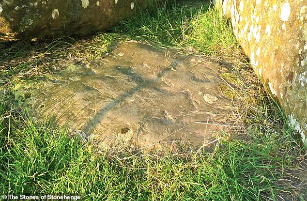 Researchers say the Altar Stone of Stonehenge (pictured) came from Scotland. The six-ton ​​heavy and five-meter long rectangular Altar Stone lies flat in the heart and is a gray-green sandstone