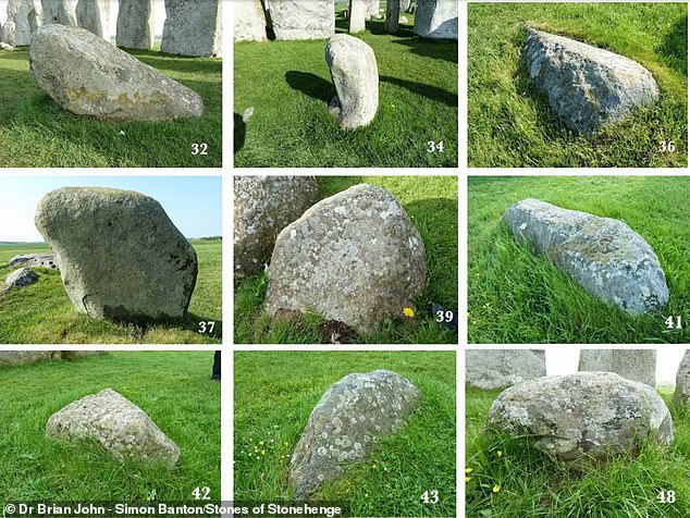 Meanwhile, about 80 smaller 'bluestones' (pictured) – stones that have a bluish tinge when freshly crushed or wet – arrived from Wales