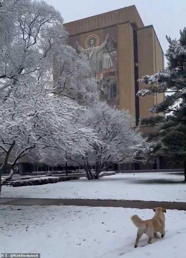 ESPN's Kirk Herbstreit and his dog visit 'Touchdown Jesus' in South Bend