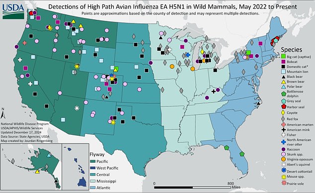 This map shows cases of the virus detected in wild mammals such as red foxes and seals