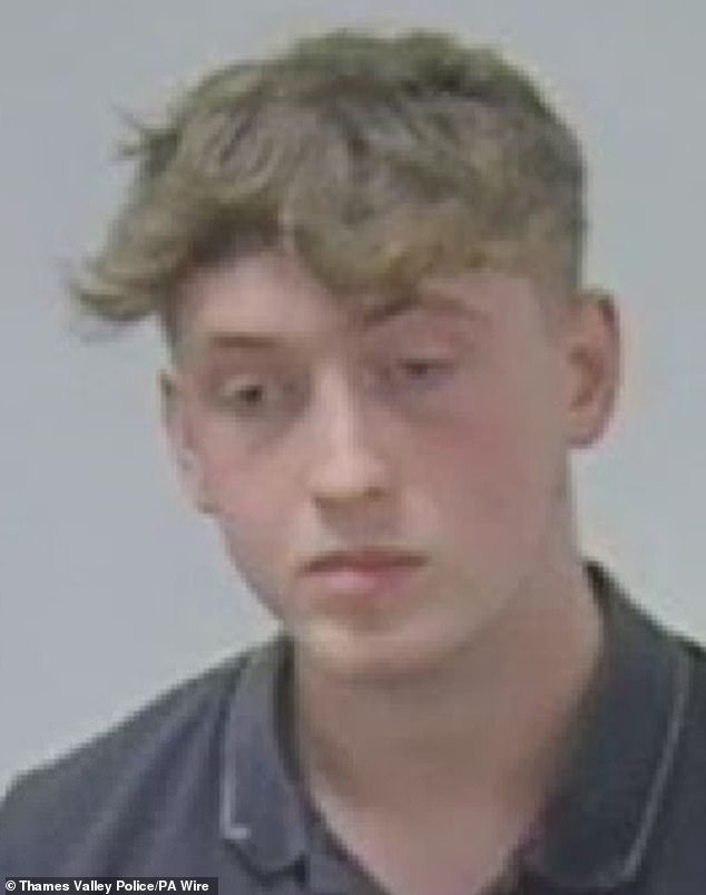 Thomas Johnson, 19, is sentenced to nine years and four months after driving at 100 miles per hour with high levels of nitrous oxide and crashing his BMW 3 Series into a tree, killing his three friends