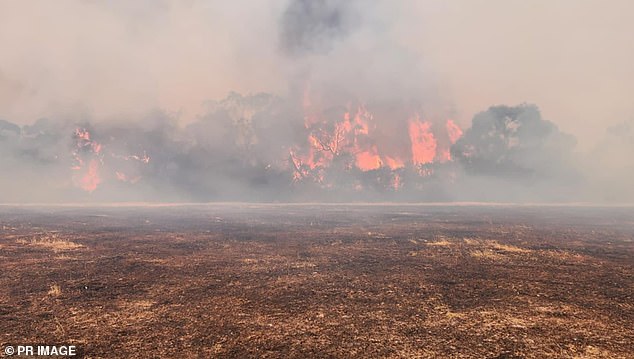 The uncontrolled forest fire (photo) is still raging despite the efforts of the fire brigade