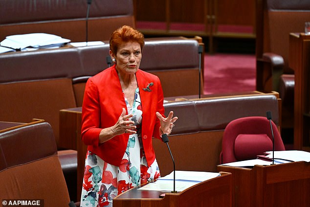 Pauline Hanson's One Nation party kept Ms Mihailuk in the dark about administrative funding, she claimed