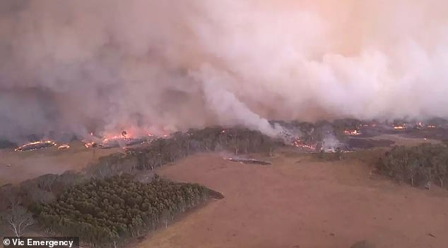 A fast-growing fire in Victoria's Grampians National Park destroyed 30,000 hectares on Saturday evening, despite the efforts of 350 firefighters to bring it under control