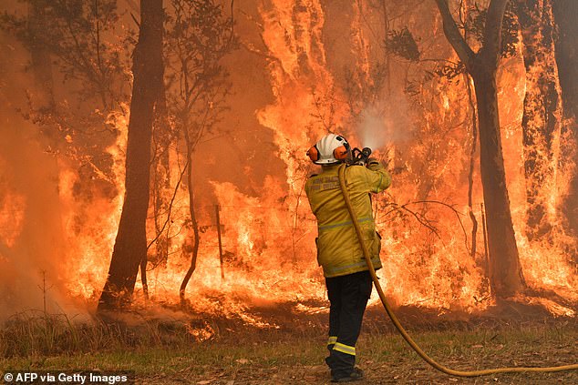 Summer bushfire forecasts for 2024 indicate large parts of Australia are at increased risk of fire danger