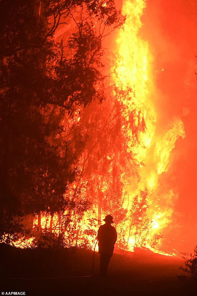 The warning comes five years after the devastating Black Summer bushfires that caused widespread damage across Australia