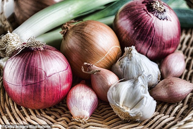 Foods such as onions and garlic contain a chemical compound called thiosulfate that can be toxic to dogs because it causes damage to their red blood cells (stock image)