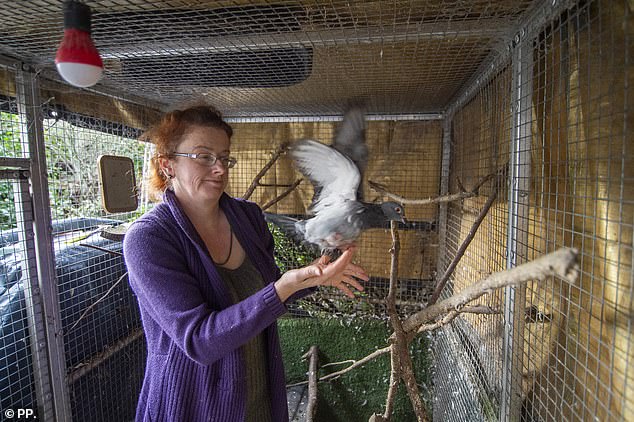 The council has accused its aviaries of attracting vermin due to bird droppings and food scraps left on the floor