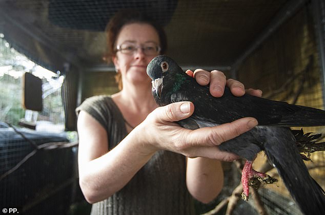 Elizabeth has always rescued animals and as a child she took in stray dogs