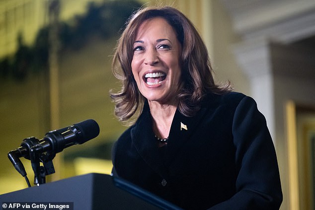 Political insiders told DailyMail.com after the election that they expected Harris to retool and prepare to run for president again in 2028.