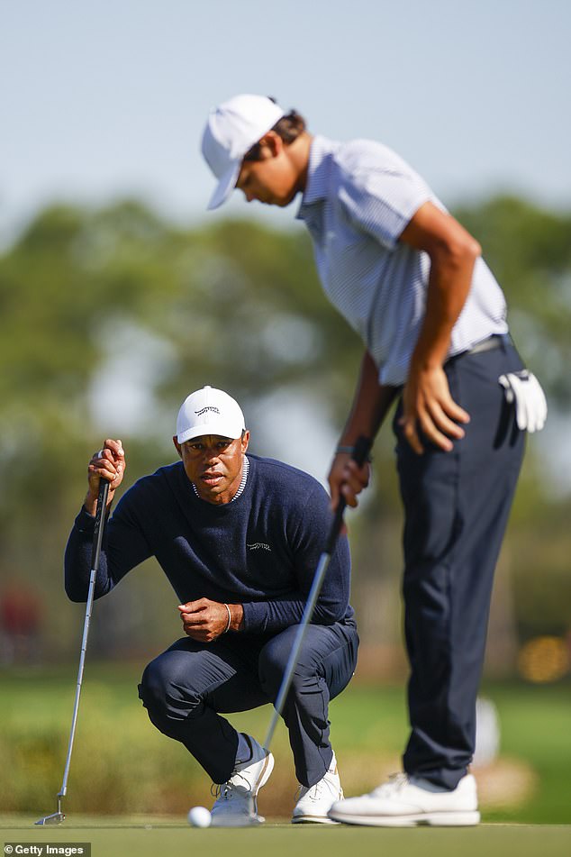 Tiger and Charlie have competed in the family competition for the past five years