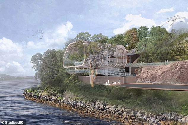 An artist's impression of the new Sky Safari Cable Car, which is currently being considered for approval by the NSW Government