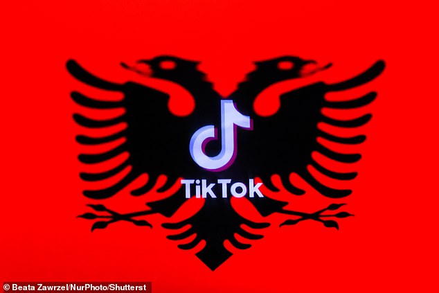 The major crackdown, the first of its kind in Europe, was prompted by the death of a 14-year-old boy who was stabbed by another student in November. Pictured: a TikTok logo on the Albanian flag