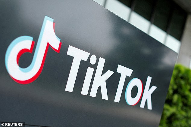 TikTok has been banned in several countries, including India, Iran, Nepal, Afghanistan and Somalia. (File image)