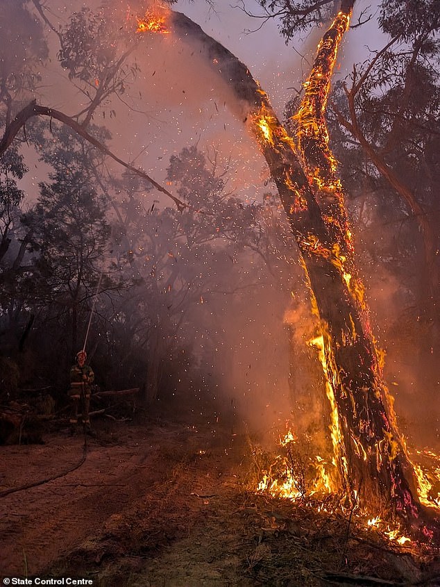 Hot, dry and windy conditions are expected to worsen the fast-moving bushfires from Monday