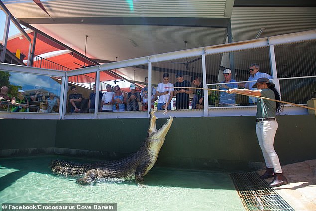 Crocosaurus Cove, a crocodile herpetarium and aquarium attraction that has held Burt in captivity since 2008, announced Burt's death on Monday