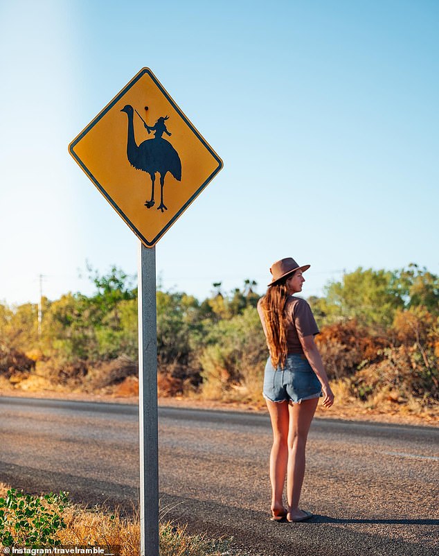 Australia's weirdest and craziest road signs have been revealed, including one in Exmouth warning motorists that an emu cull is taking place in the area