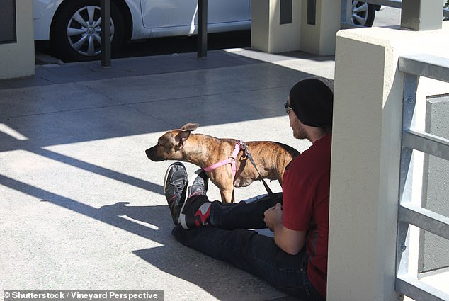 Under the new laws, anyone camping in public areas and those sleeping in vans will no longer be allowed to keep pets. Failure to comply will result in a fine of $8,605