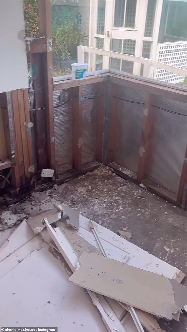 She posted a behind-the-scenes video showing how they stripped the dilapidated property to its bare bones, revealing the shocking discoveries they found - from termites to mold.