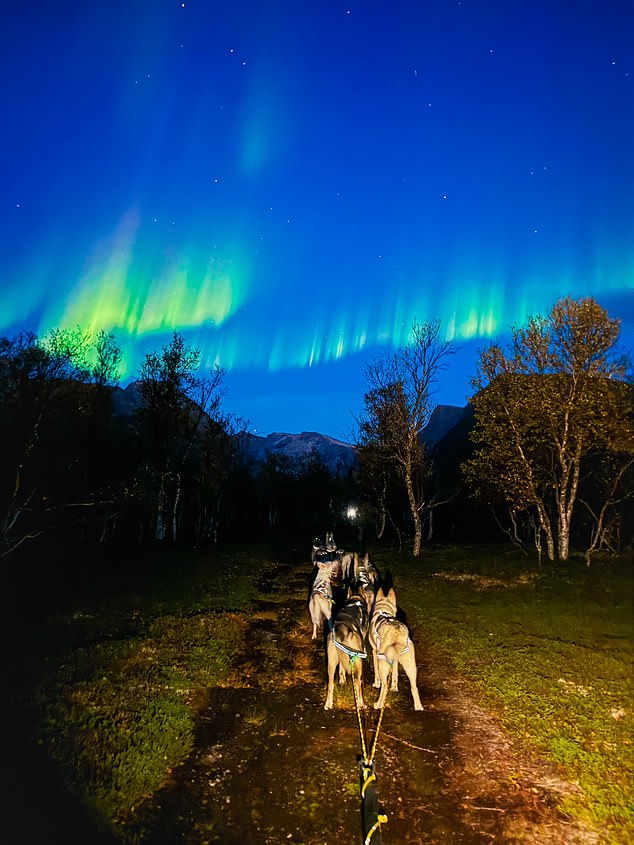 The Northern Lights provide a glittering backdrop during Ida-Helene's training trips