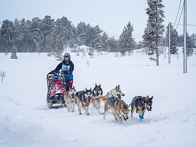 The dogsledder admits that sometimes she has a better bond with the dogs than with her family