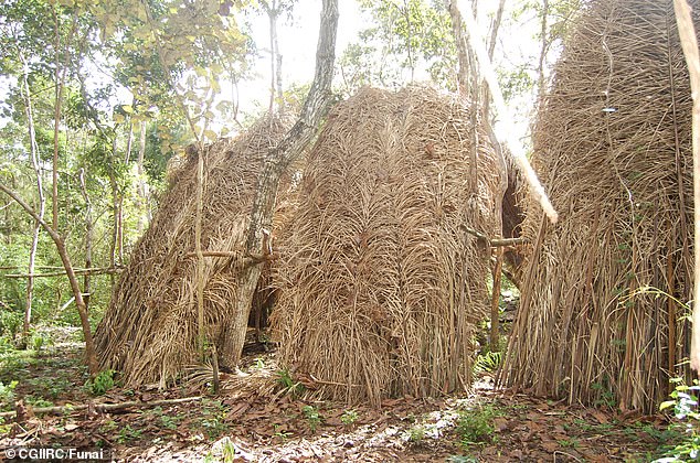 Satellite images showed evidence of larger built-up plots and elaborate longhouses, especially in areas along Brazil's borders with Peru and Venezuela