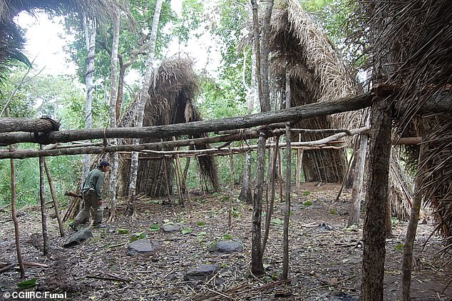 The photo shows a suspected Massaco community found in the Brazilian rainforest