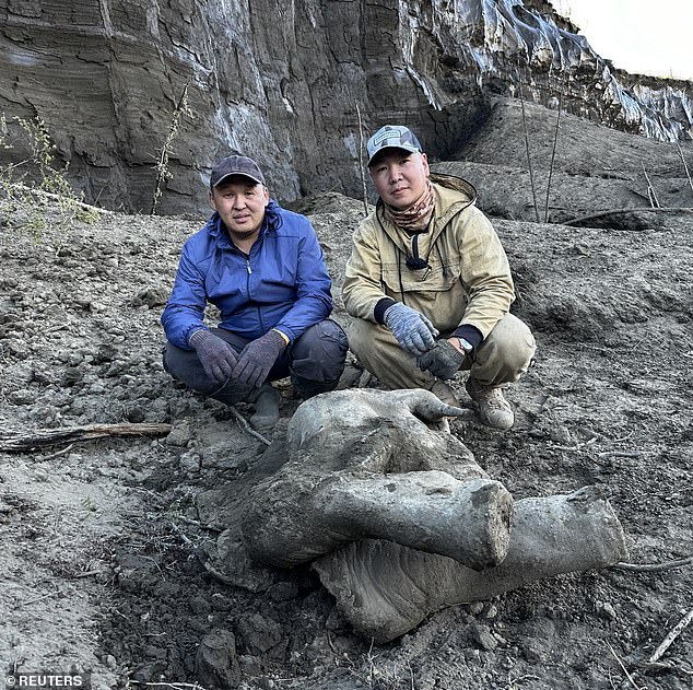 Researchers Gavril Novgorodov and Erel Struchkov pose for a photo next to the carcass of a baby mammoth, estimated to be more than 50,000 years old and found on June 13, 2024, in the Siberian permafrost in the Batagaika crater in Yakutia, Russia.