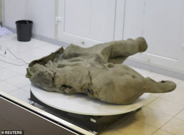 Yana's limbs were eaten, possibly by sparrows or small mammals, but the torso and other parts of the head are uniquely preserved, researchers say