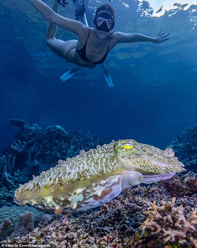 She shared photos and clips of herself exploring and snorkeling in the ocean