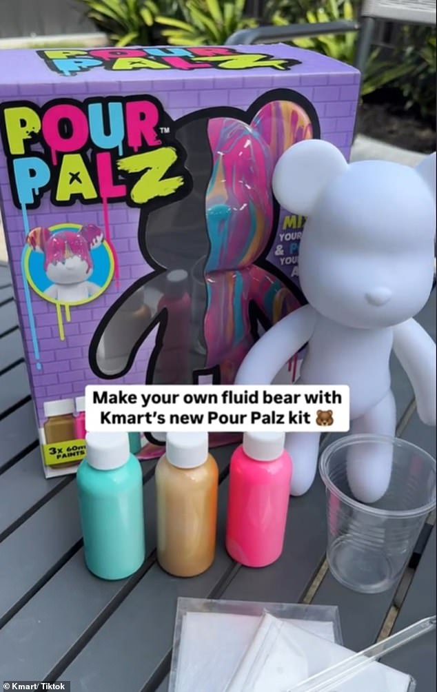 The item: the Pour Pals Fluid Paint Large Bear sets - which come with a variety of models and allow people of all ages to get creative