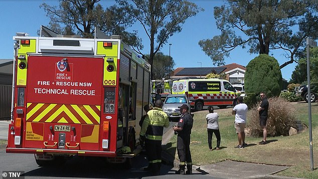 SafeWork NSW is not conducting an investigation as it was a 'non-work related incident' (photo, emergency services on scene)