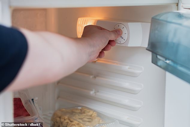 According to the Food Standards Agency (FSA), your refrigerator should be set to at least 5°C (41°F) or lower to store food safely. However, your freezer must be at least -18°C (-0.4°F) to completely stop the development of germs (stock image)