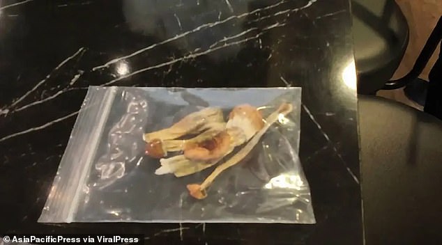 Police reportedly found bags containing 7kg of magic mushrooms during a raid on the store