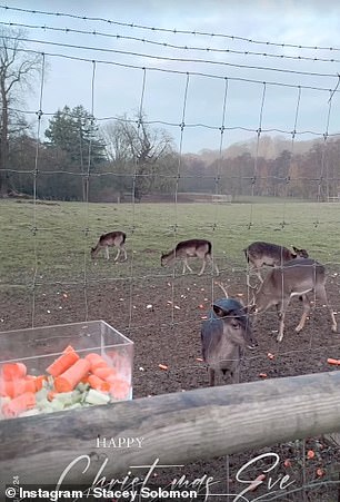 The Loose Women star, 35, wrote: 'We got up bright and early to feed the reindeer ready for their long flight tonight'